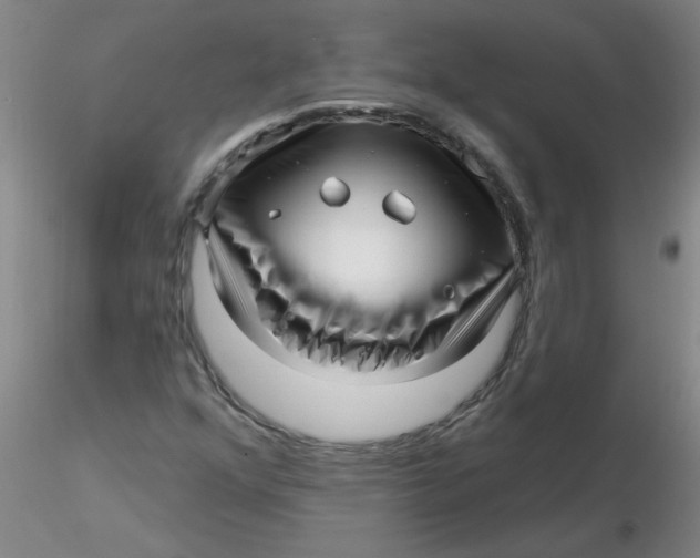 X0000116301352200912211853