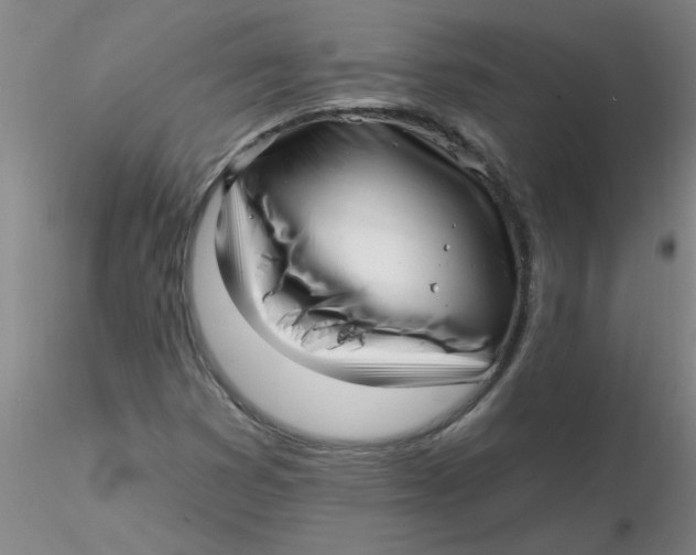 X0000116301353200912211853