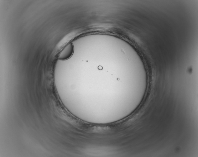 X0000116301354200912211853