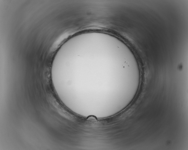 X0000116301355200912211853