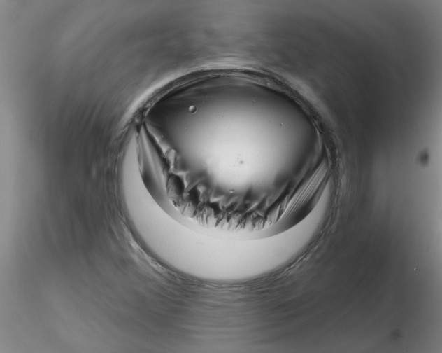 X0000116301356200912211853