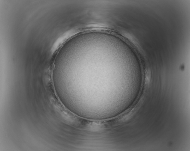 X0000116301357200912211853