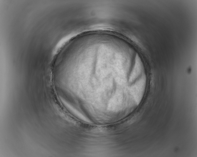 X0000116301358200912211853