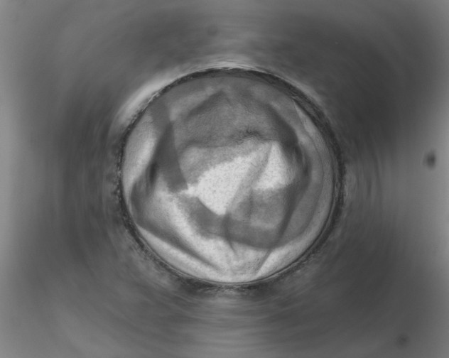 X0000116301359200912211853