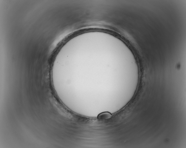 X0000116301360200912211853