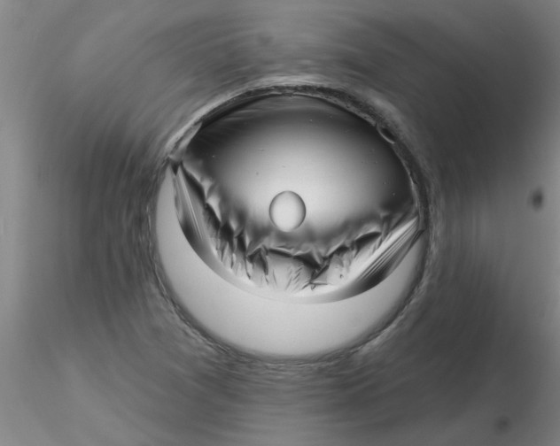 X0000116301361200912211853