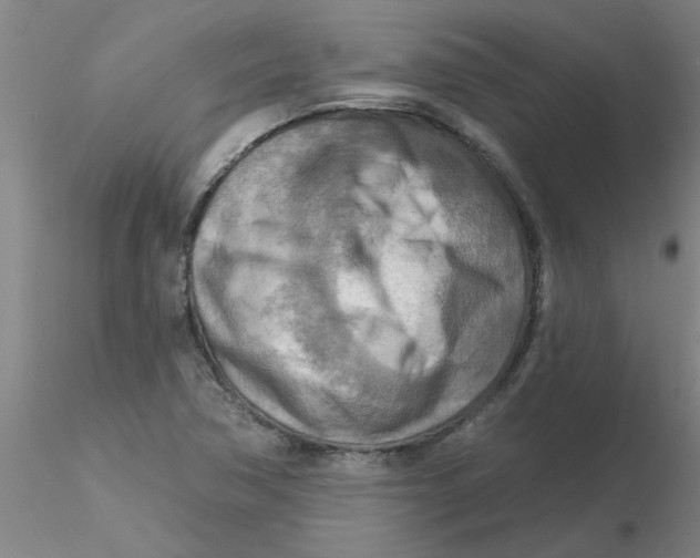 X0000116301362200912211853