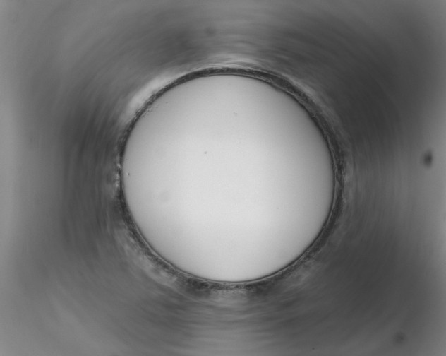 X0000116301363200912211853