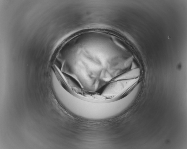 X0000116301364200912211853