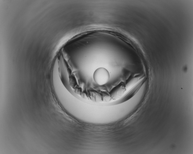 X0000116301365200912211853