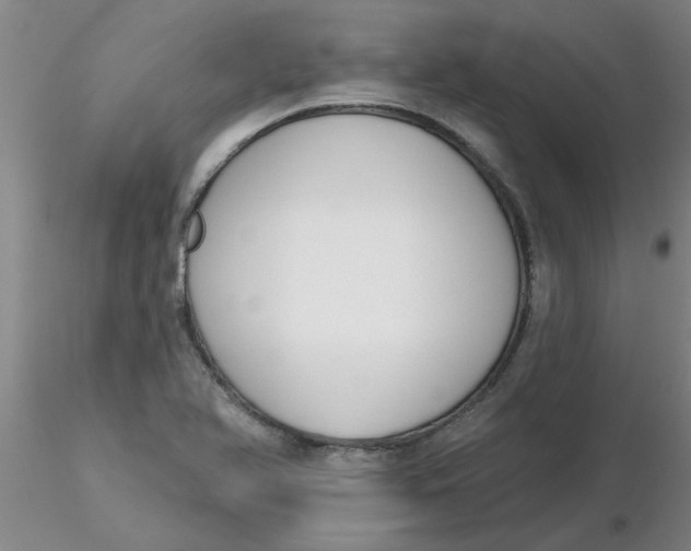 X0000116301366200912211853