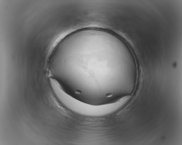 X0000116301367200912211852