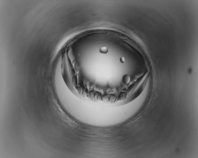 X0000116301368200912211852