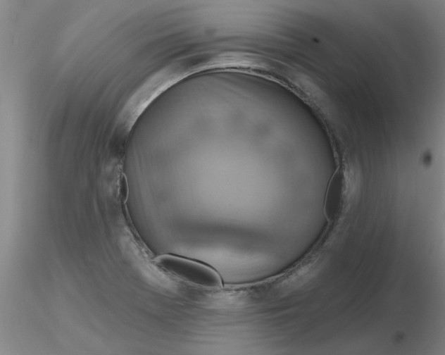 X0000116301369200912211852