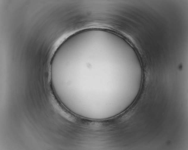 X0000116301371200912211852