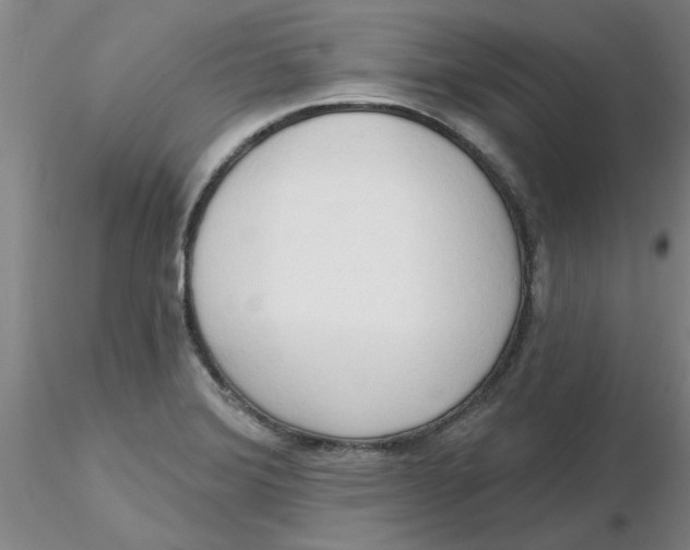 X0000116301372200912211852