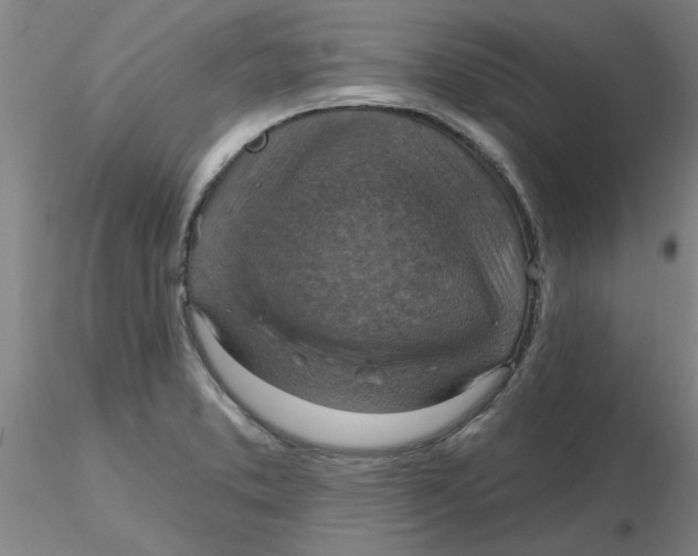 X0000116301373200912211852