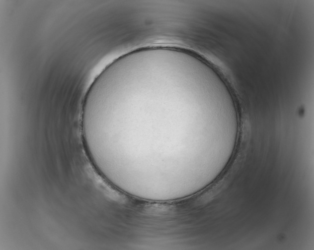 X0000116301374200912211852