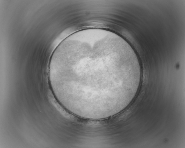 X0000116301378200912211852