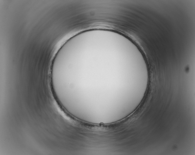 X0000116301379200912211852