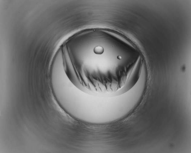 X0000116301380200912211852