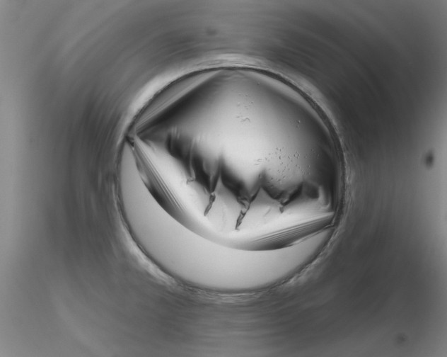 X0000116301381200912211852