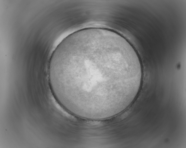 X0000116301382200912211852