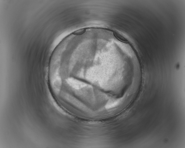 X0000116301383200912211852