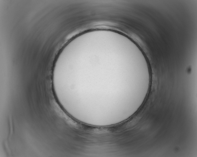 X0000116301384200912211852