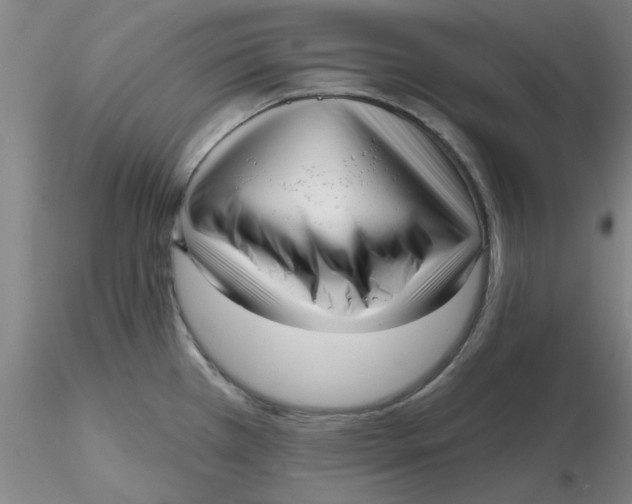 X0000116301385200912211852