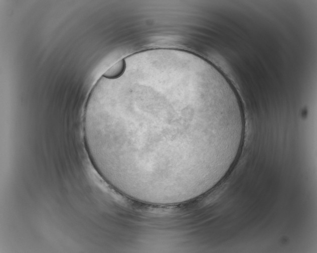 X0000116301386200912211852