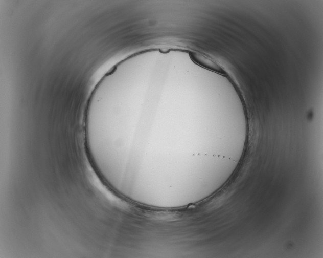 X0000116301387200912211852