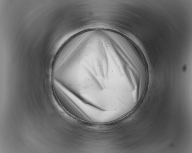 X0000116301388200912211852