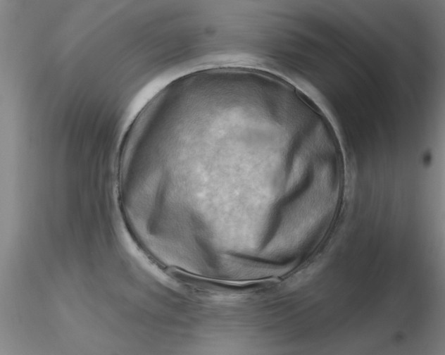 X0000116301389200912211852