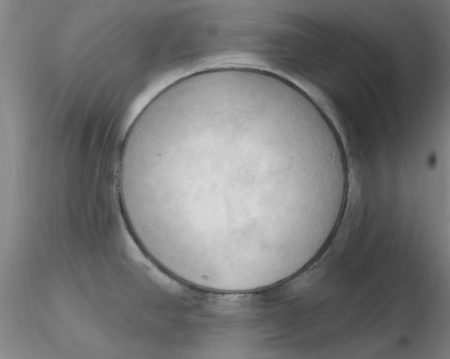 X0000116301390200912211852