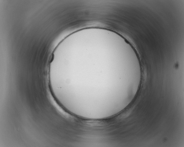 X0000116301391200912211852