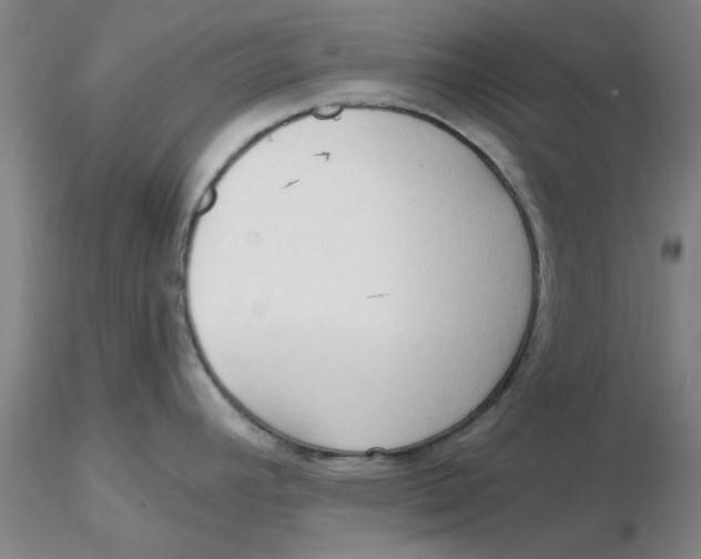 X0000116301392200912211852