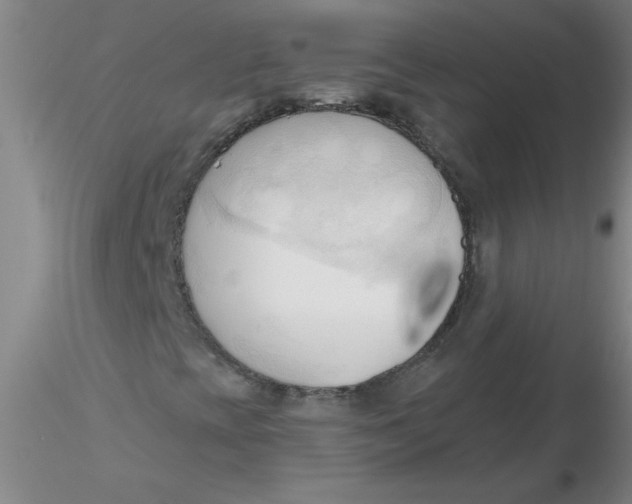 X0000116301393200912211851