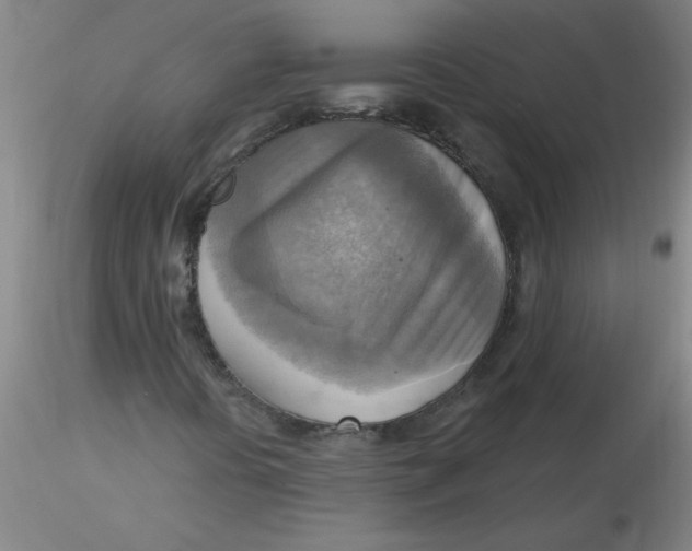 X0000116301394200912211852