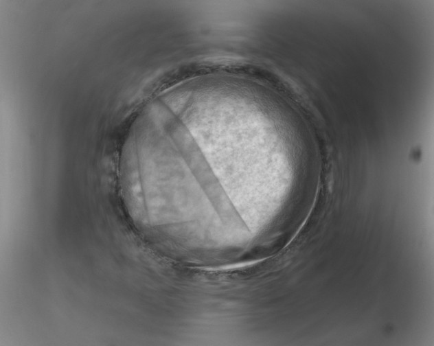 X0000116301397200912211852