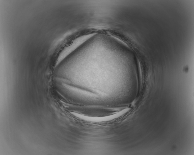 X0000116301398200912211852