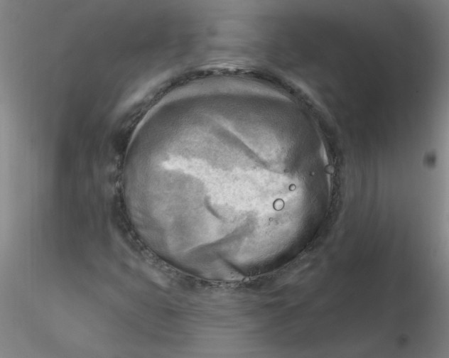 X0000116301399200912211852