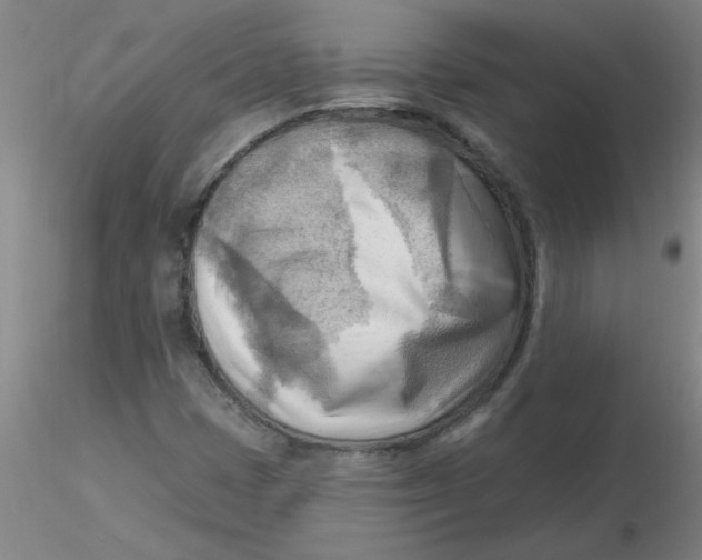 X0000116301401200912211852