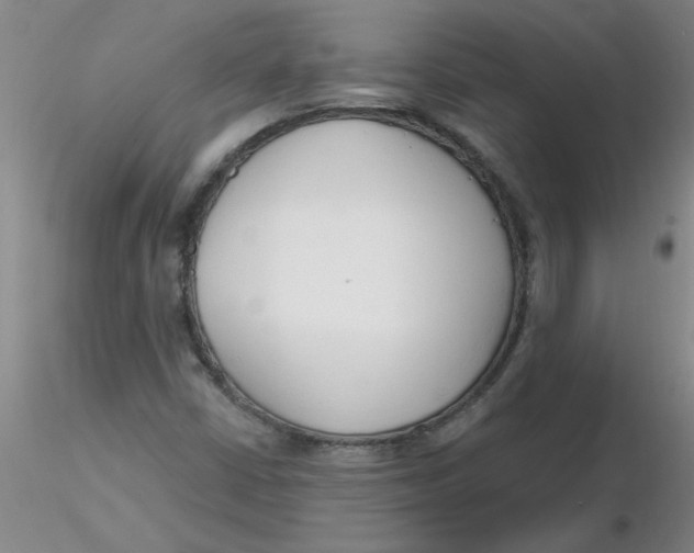 X0000116301402200912211852