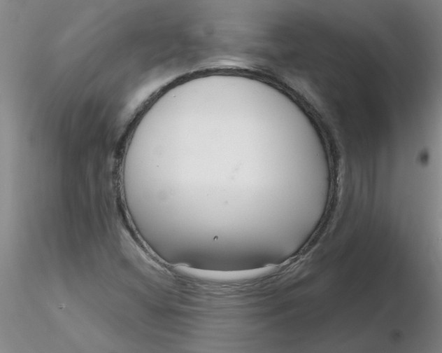 X0000116301404200912211852