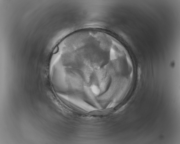 X0000116301405200912211852