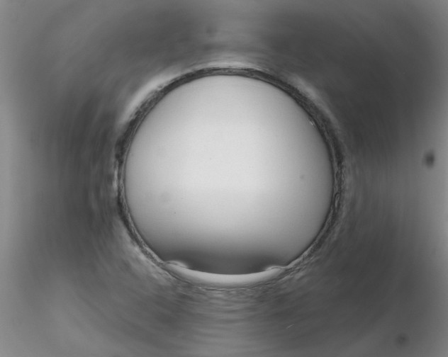 X0000116301408200912211852