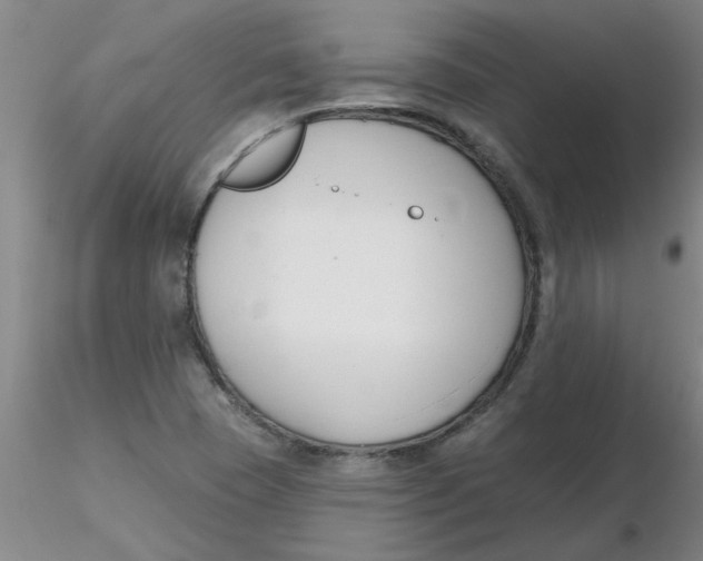 X0000116301409200912211852