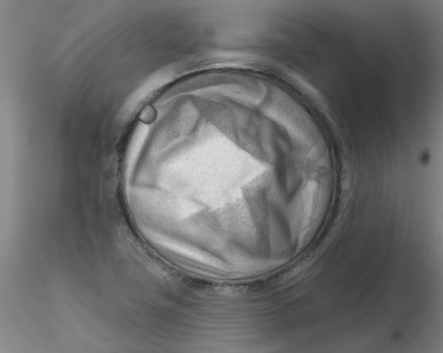 X0000116301411200912211852