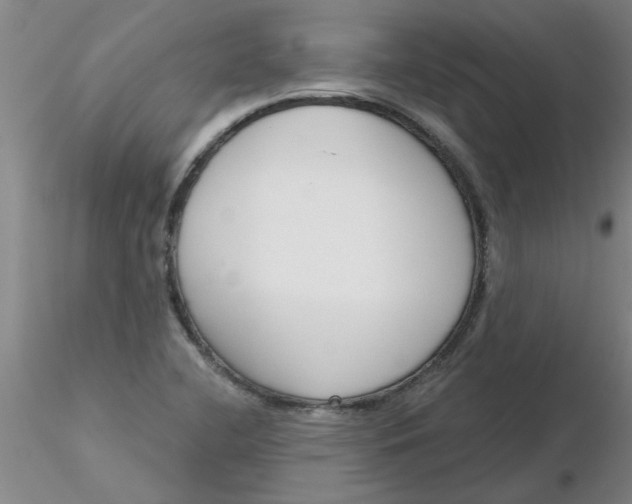 X0000116301412200912211852